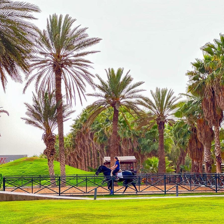 Le Domaine Limoune Oulad Teïma Buitenkant foto
