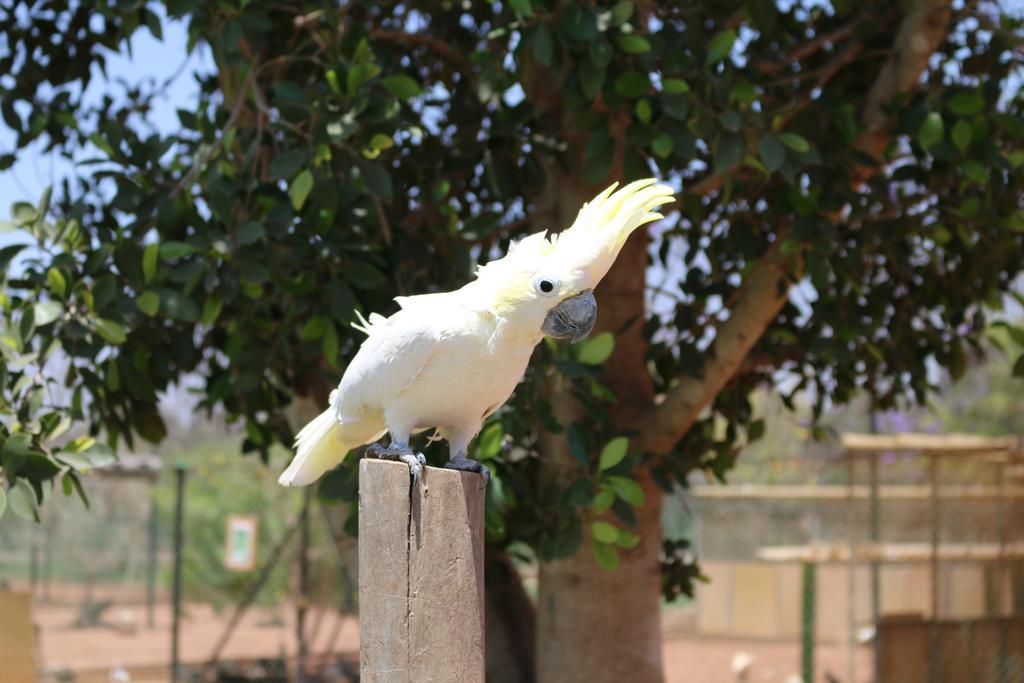 Le Domaine Limoune Oulad Teïma Buitenkant foto